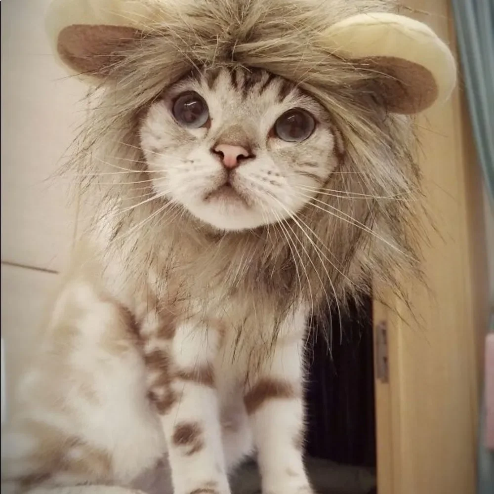 Lion Face Costume